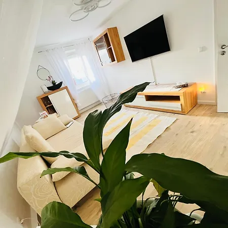 Haus Carolin Apartment *